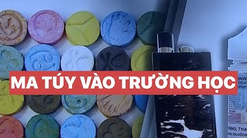 Ma túy "tấn công" học sinh và ẩn khuất dưới nhiều vỏ bọc | VTV24