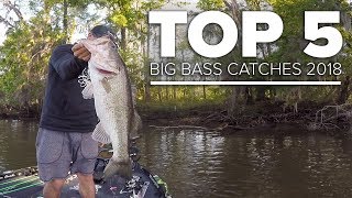 Top 5 BIGGEST BASS (Spring 2018)