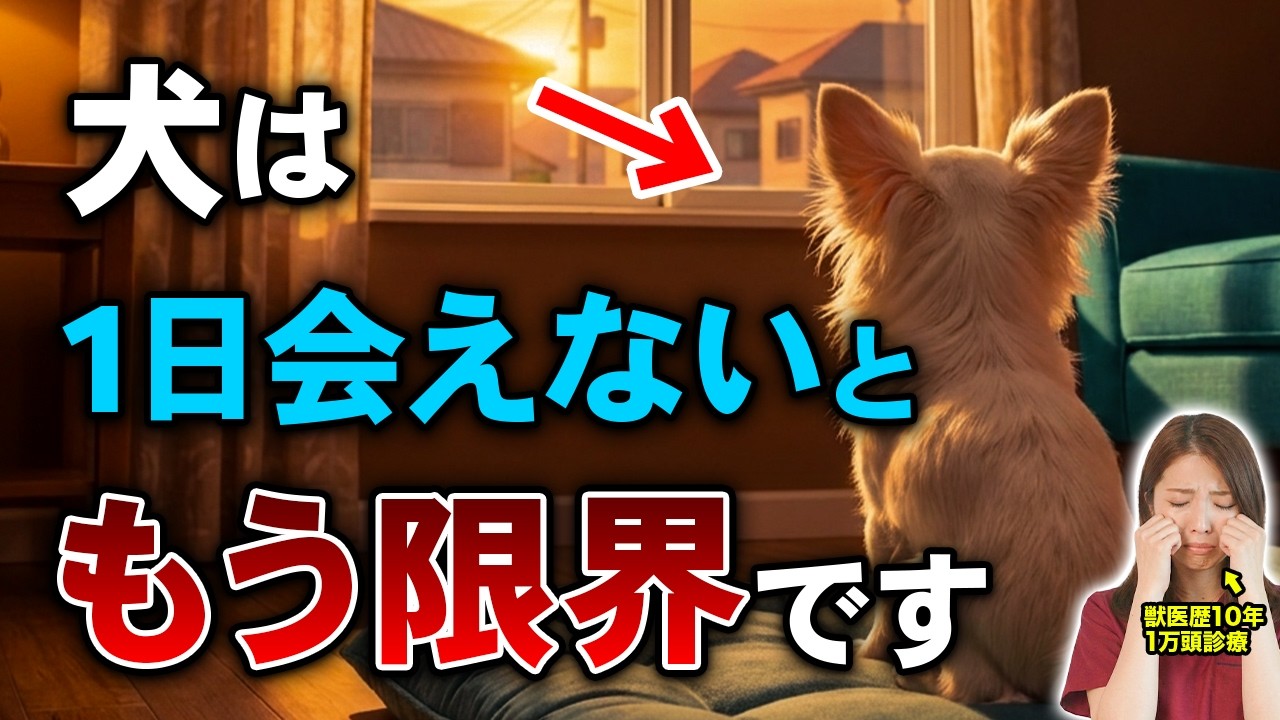 Puppyページです。 90% are mistaken] The human world as seen by dogs is actually