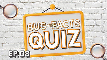 Bug the Facts Quiz: Test Your Knowledge on State TCPA Compliance