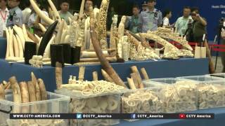 Prince William: China can be global leader in anti-poaching