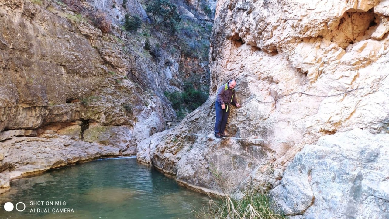Hocinos del Río Martín