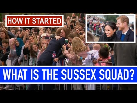 Видео: Какво ще правят Меган и Хари с марката си Sussex Royal?