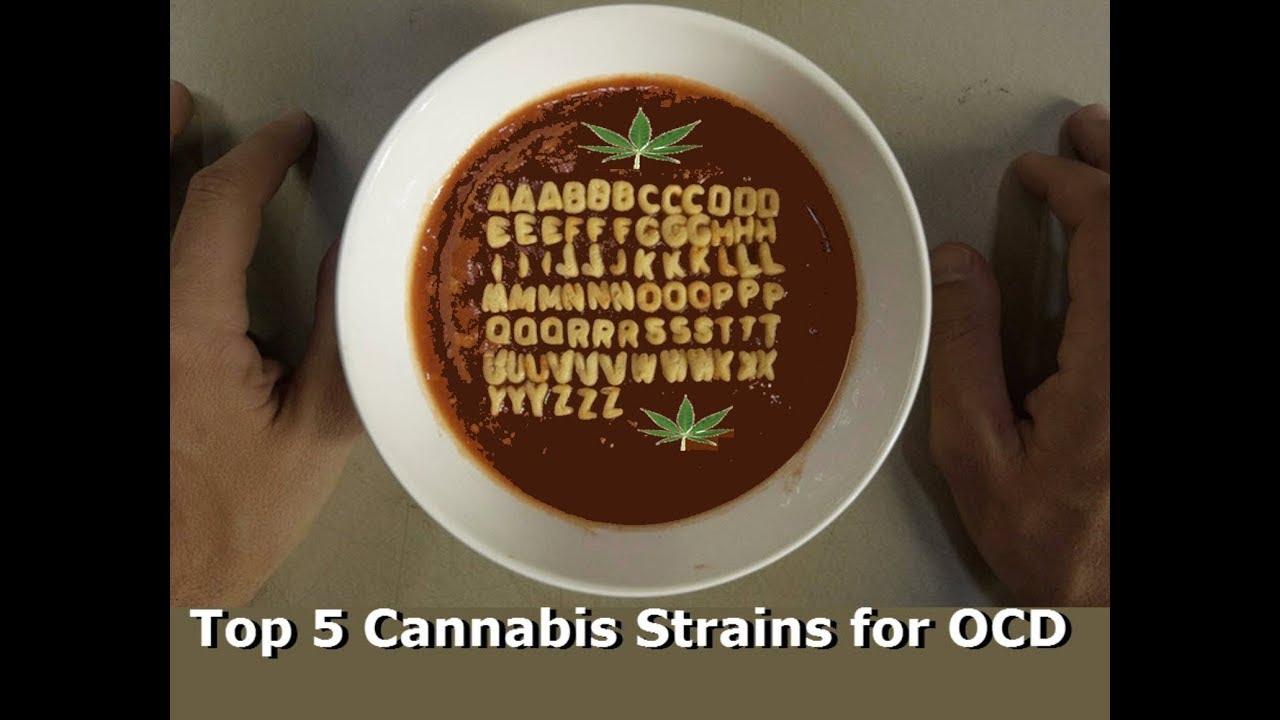 Top 5 Cannabis Strains for OCD