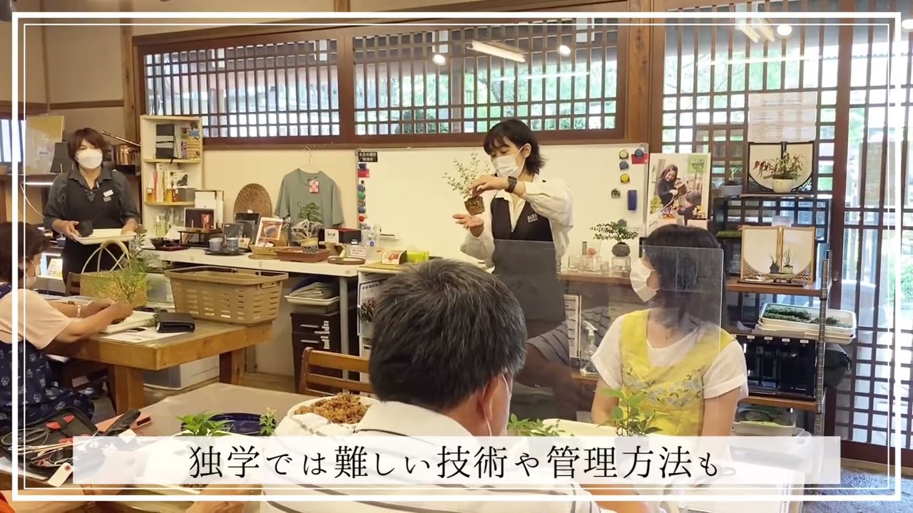 【盆栽　清香園】彩花盆栽教室で盆栽をはじめてみよう！