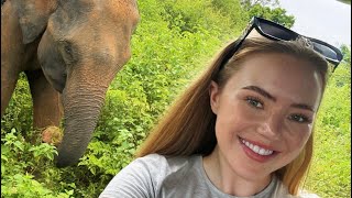 An elephant broke our safari truck🇱🇰