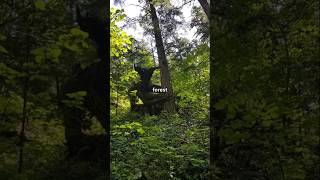 Rare Photos You've Never Seen Before [Part 226]