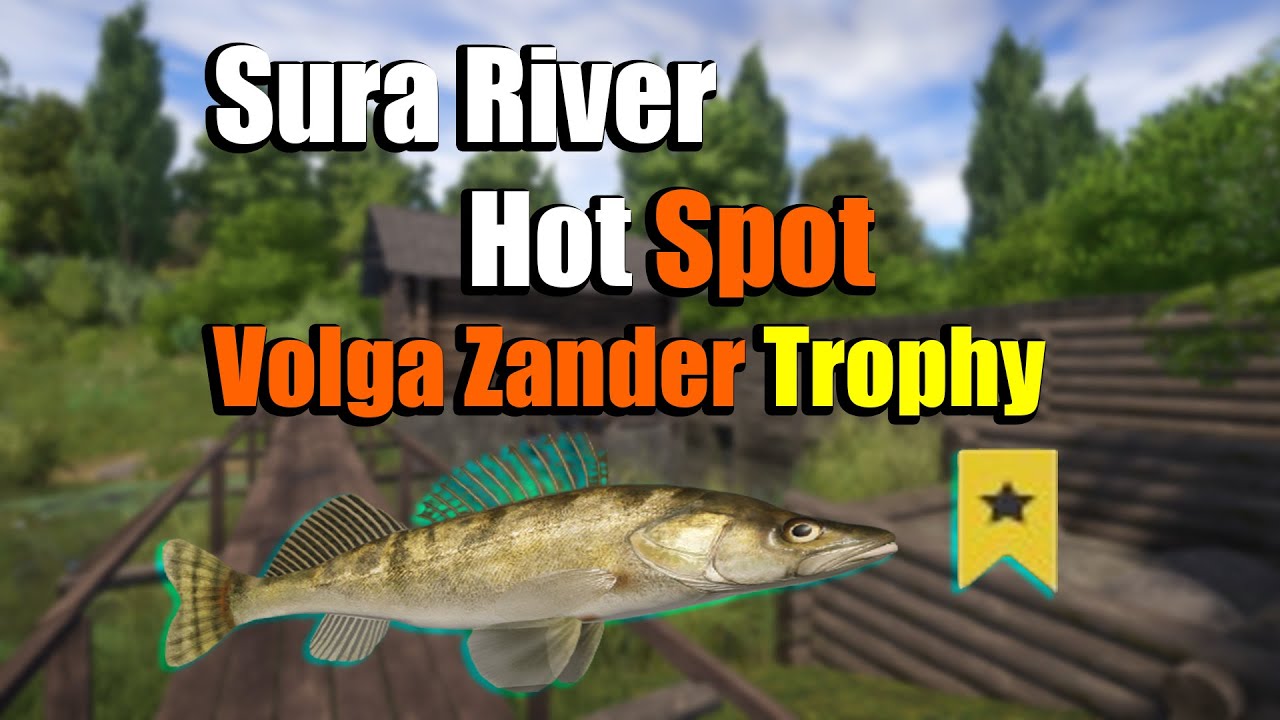 🎣Russian Fishing 4 RF4 Sura River Hot Spot Volga Zander Trophy YouTube