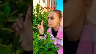 Кто нашел все цифры и решил пример? #solve #example #shorts #shortvideo #colonelkkjϟ #nature