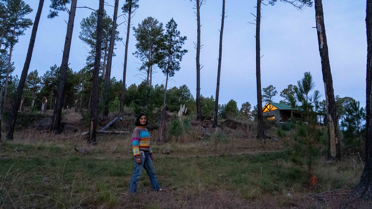 Ella vive en una cabaña en el medio del bosque (parece un cuento de hadas) | Calamuchita, Córdoba