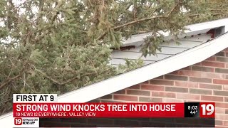 Strong winds knocks tree into house in Valley View