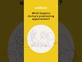 Preneed Insurance FAQ: What happens during a preplanning appointment?