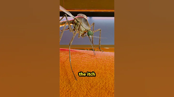 How a Mosquito Suck Your blood