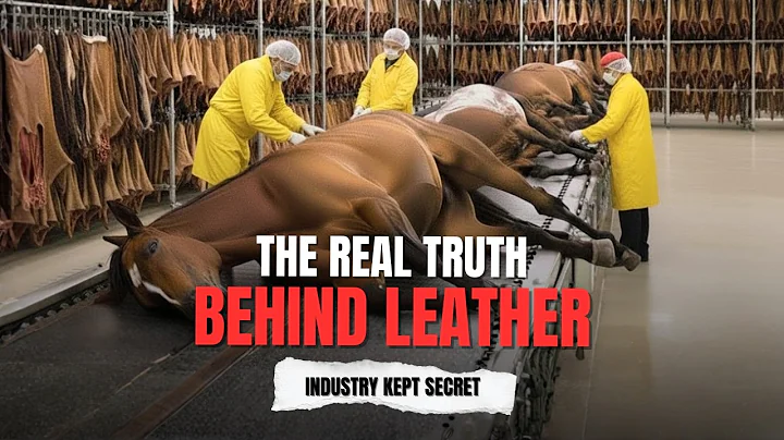 Inside the Horse Leather Factory - Million Dollar Products Are Made from Horse Hide (Entire Process)