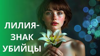 ЛУЧШИЙ ДЕТЕКТИВ НА YOUTUBE!!! ЗАХВАТЫВАЮЩИЙ СЮЖЕТ И ПРЕКРАСНЫЕ АКТЕРЫ!!! Капкан для Золушки