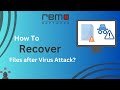 How Can I Recover My Deleted Files By Virus?