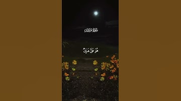 القرآن الكريم بصوت الشيخ سعود الفايز سورة مريم يا زكريا إنا نبشرك بيغلَم #القران #اكسبلور #دويتو