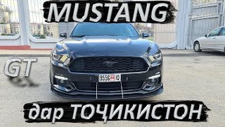 MUSTANG дар ТОҶИКИСТОН