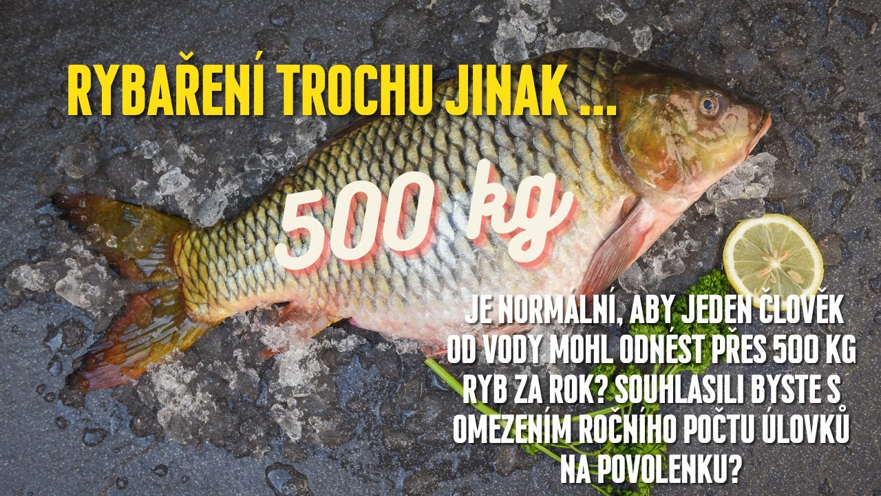 Je normální nachytat a od vody odnést přes 500 kg ryb za rok? Jak se na to díváte vy?