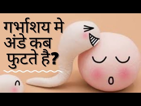 वीडियो: मैं कैलिफ़ोर्निया में अंडा दाता कैसे बनूँ?