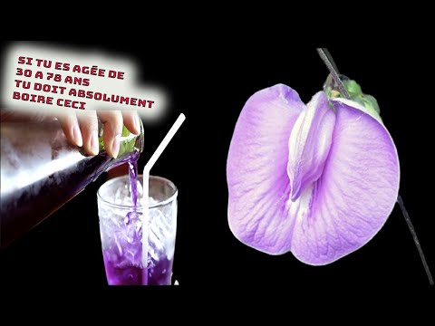 Vidéo: Peut-on manger des fleurs de pois papillon ?