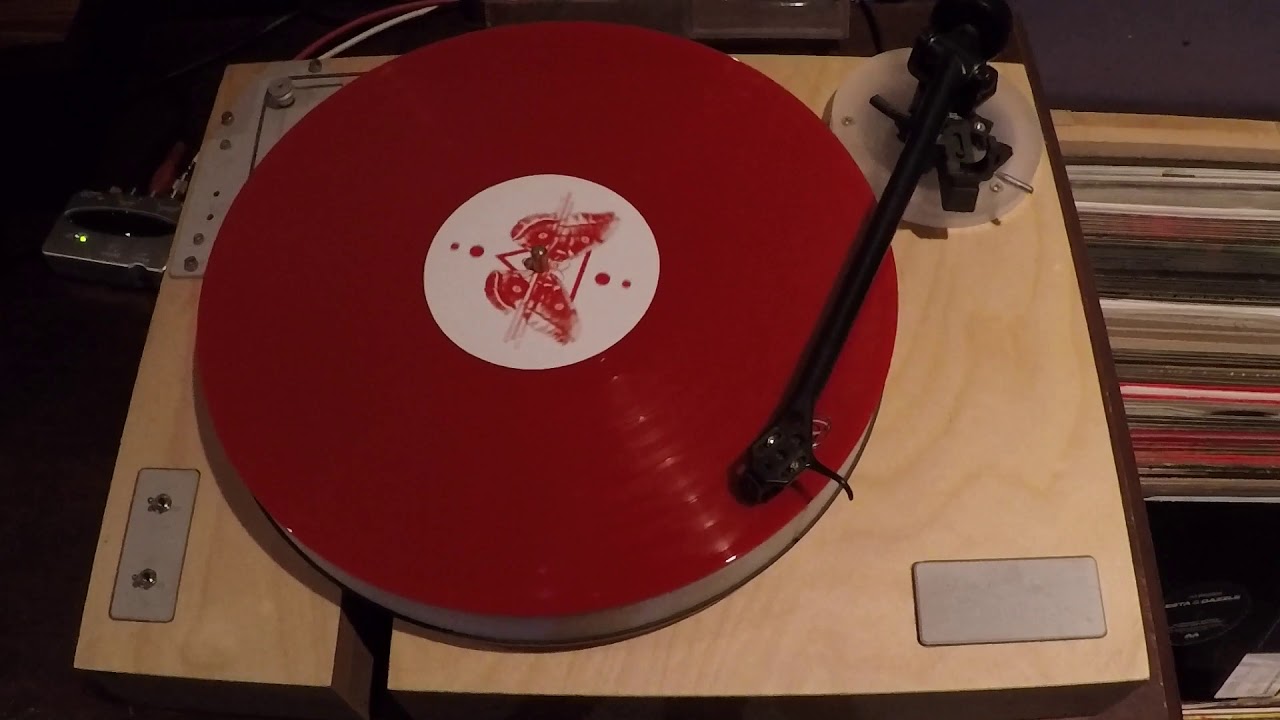 Bassnectar - Into The Sun - Bassnectar & Levitate - Chasing Heaven Live Vinyl Record