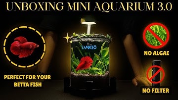 Unboxing the All-New Mini Aquarium 3.0 – Small Tank, Big Surprise!| TANKED IND | @tanked_ind|