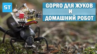 GoPro для Жуков и Домашний Робот - Science Tomorrow #42