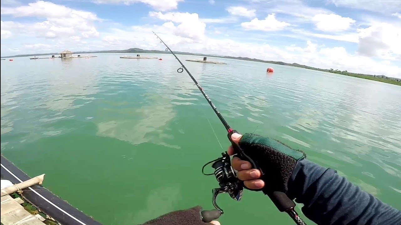 ROLL FISH SC C POWER 702 ML x DEUKIO 3000s FIELD TEST FISHING VLOG