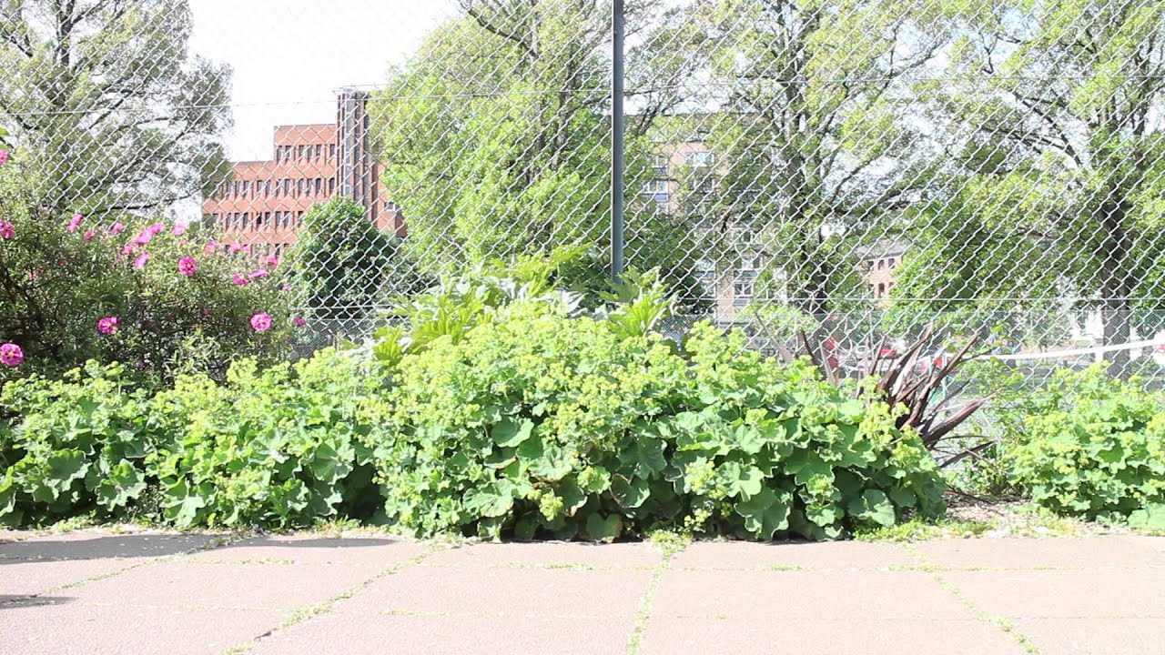 BeautyCon London & Piercing Change! | Hello October