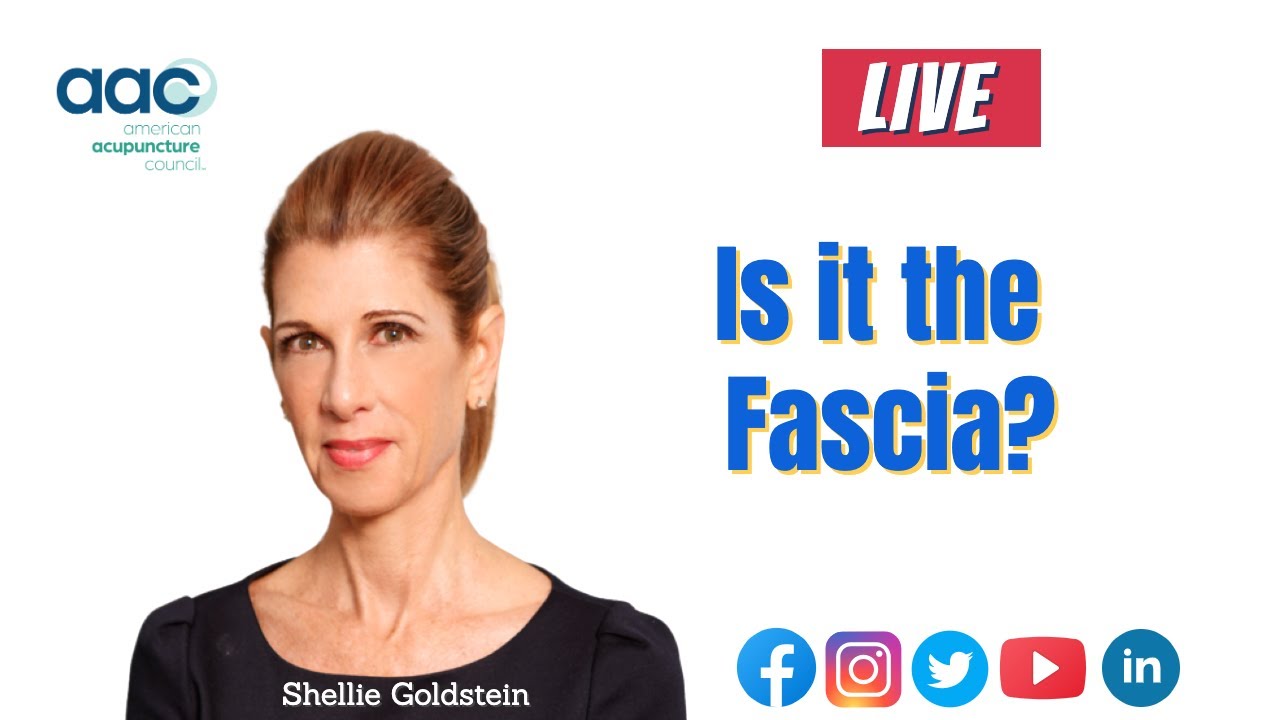 Is it the Fascia? Replay