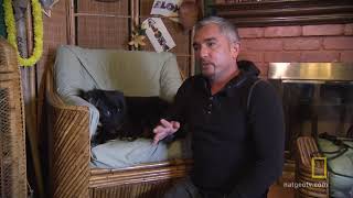 Dong-Dong The Rescue National Geographic