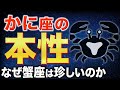 【蟹座♋️金運】かに座の本当の強さが明らかになります✨【12星座】