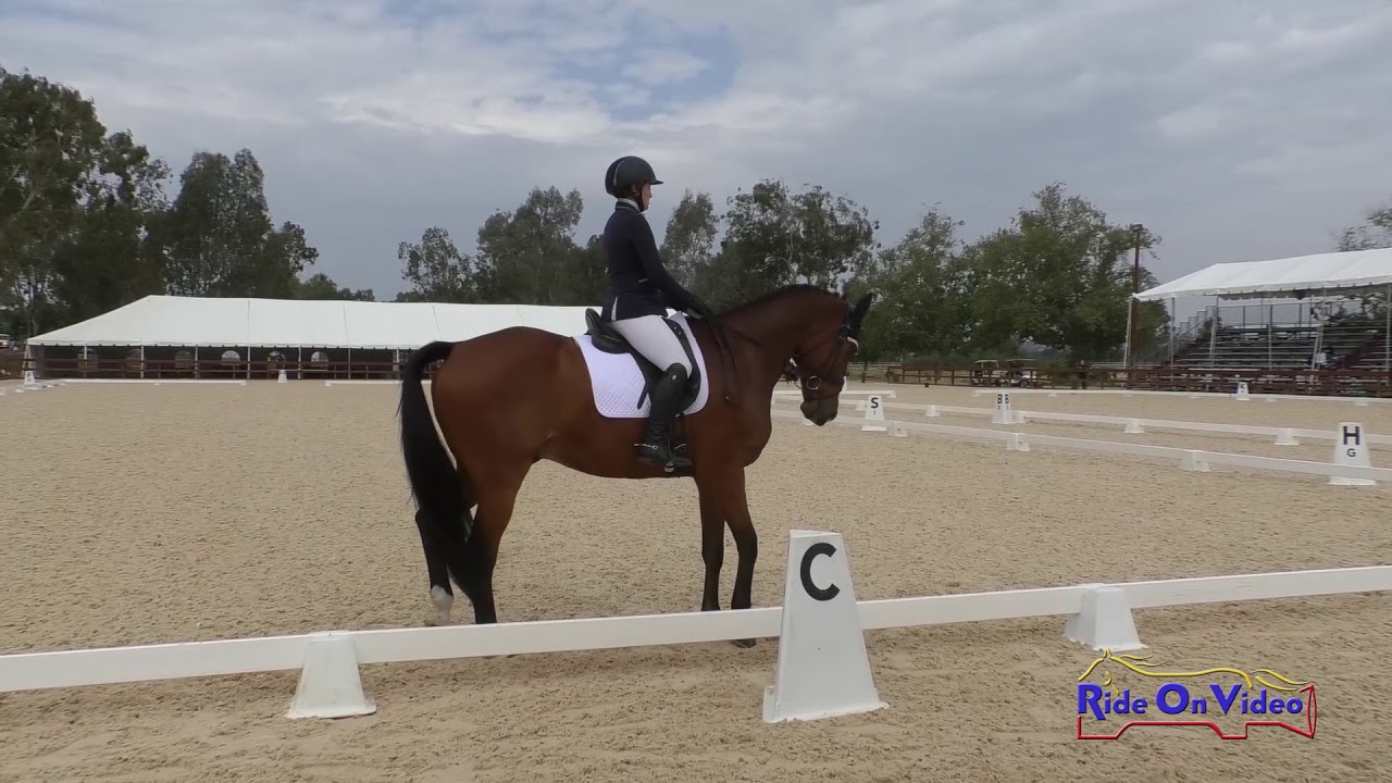 downs sims 011D Kaitlin Vosseller on Clear Approval Preliminary Challenge Dressage Galway Downs May 2019