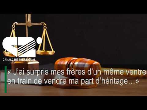 « QUAND LES FRÈRES SE DISPUTENT L’HÉRITAGE : L’ARGENT PEUT-IL DÉTRUIRE LES LIENS DU SANG ? »