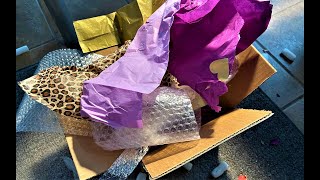 Unboxing Lioness Crystal Skull