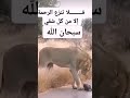 لا تنزع الرحمه الا من كل شقي نجومي