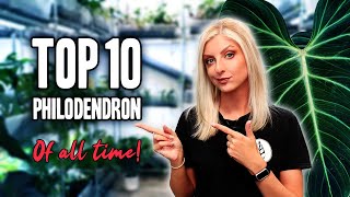 My TOP 10 Philodendron of ALL TIME!