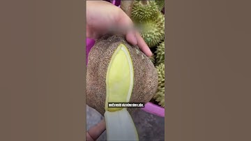 bạn đã từng ăn sầu riêng không có gai chưa, cách làm hết sức bất ngờ từ nước bạn.#Short