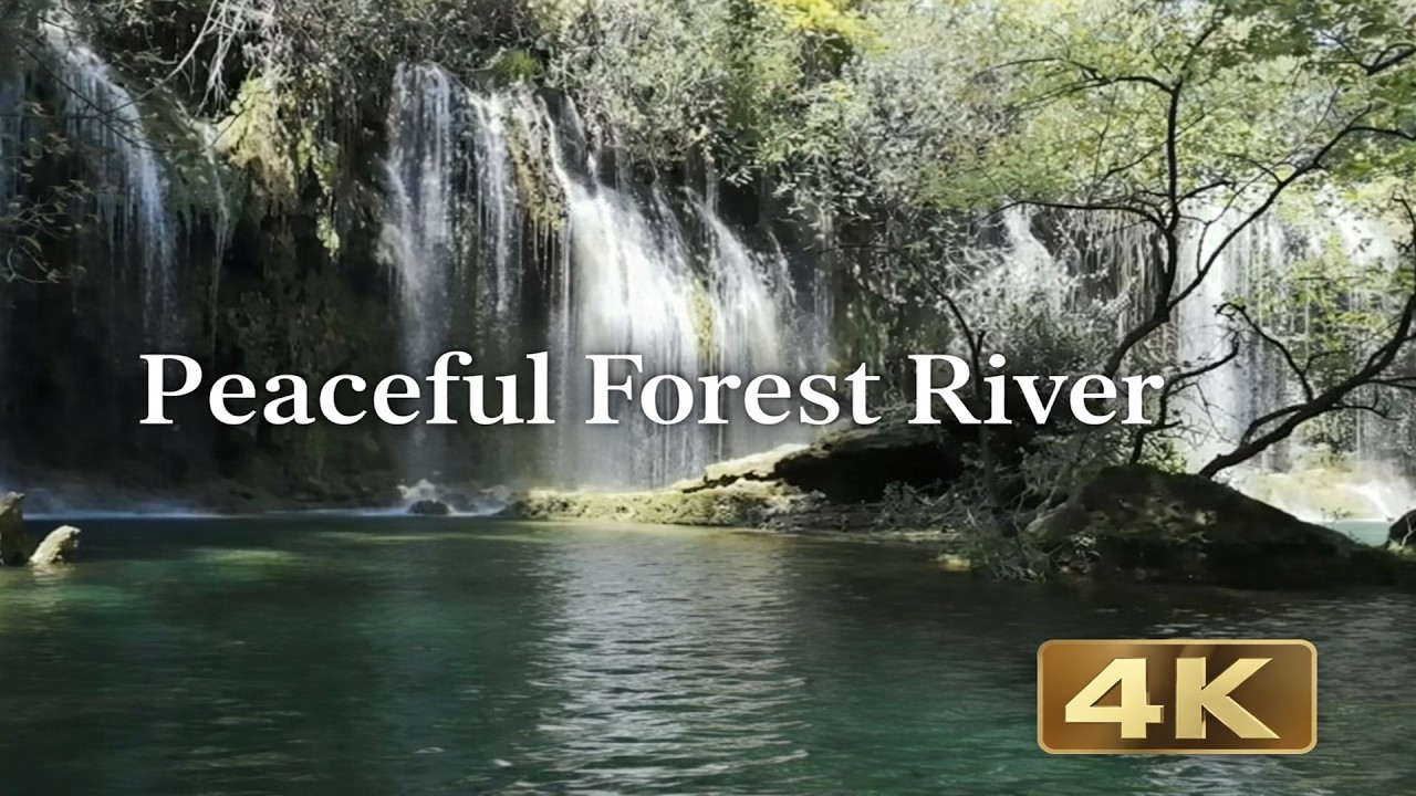 Relaxing River Sounds - Peaceful Forest River - 2:30 Hours Long - HD 1080p - Nature Video