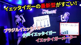 イエッタイガー Youtube