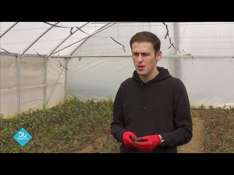 ეს შუადღე - 18.04.2022