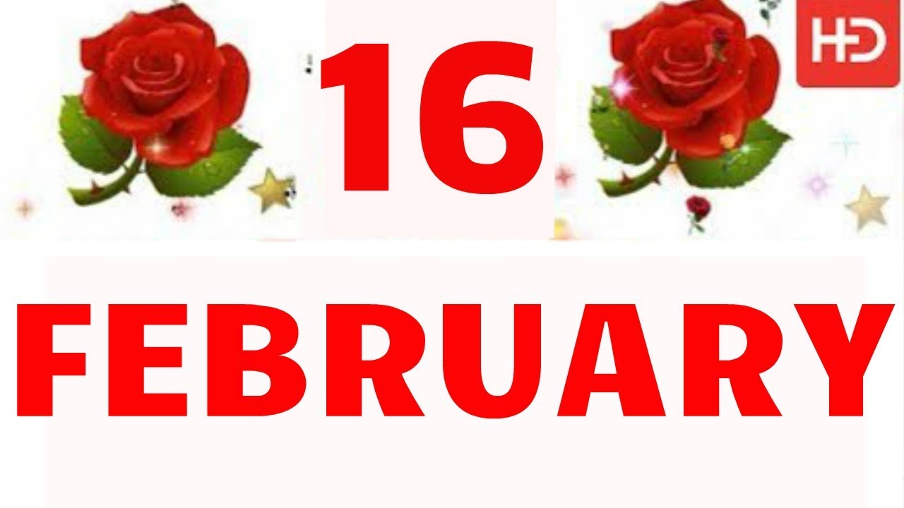 16 February Special New Birthday Status Video Happy Birthday Wishes