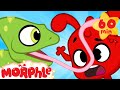 Funny Animals! Morphle meets a chameleon. Funny and cute animal cartoons for kids