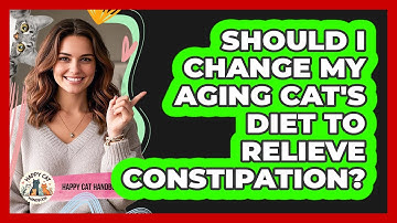 Should I Change My Aging Cat