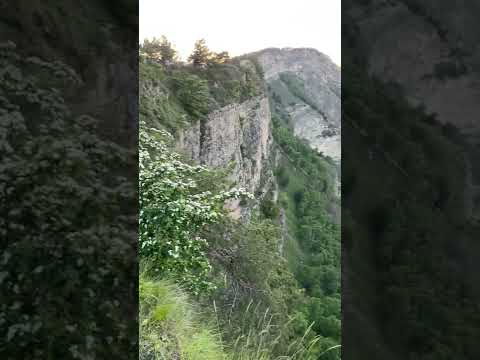 Шамилькала