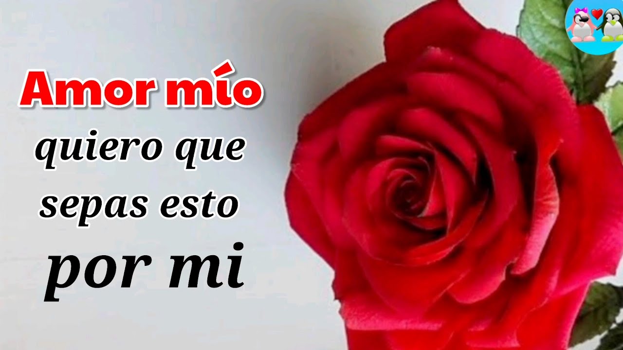 Amor para ti tengo estas palabras que salen del corazón ♥️ video de ...