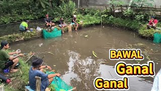 Download Lagu MANTAP ❗GA NYANGKA DENGAN ISINYA ❗BAWALNYA BABON2 MP3