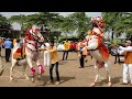 Heera sonya horse satararoad  horse dance maharashtra