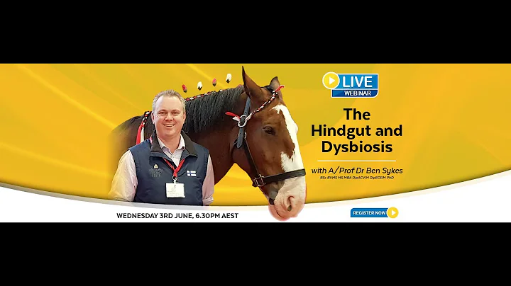 The Hindgut and Dysbiosis with A / Prof Dr Ben Sykes BSc BVMS MS MBA DipACVIM DipECEIM PhD